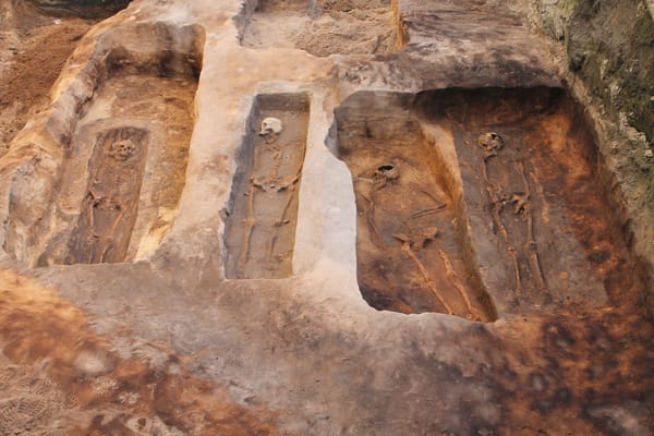 Decoding the Evolution of the Plague (Yersinia pestis)