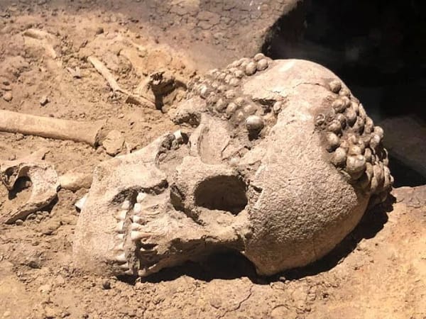 Neolithic European Farmers: Glimpses into Their Genetic World