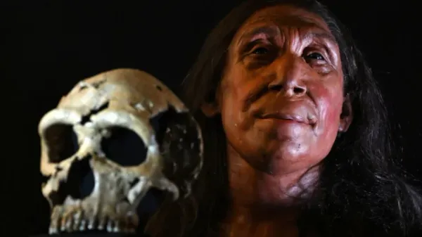 Exploring the Ancient Human Face of Western Europe: Insights from Sima del Elefante